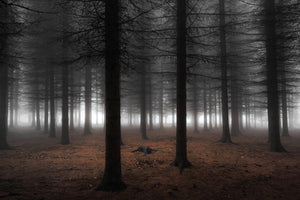framedposter-print-silence-ii