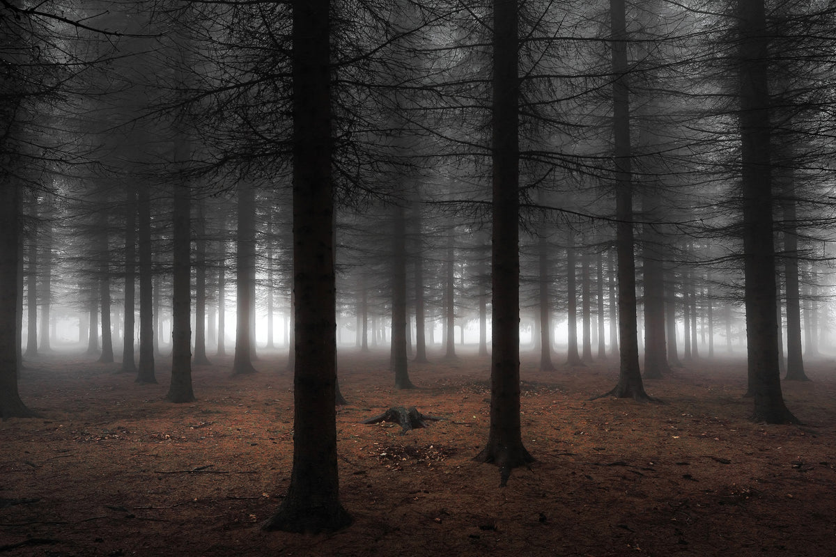 framedposter-print-silence-ii