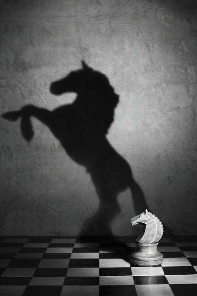 poster-print-the-soul-of-a-mustang