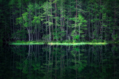poster-print-green-world-x