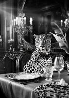 acrylic-print-leopards-luxurious-feast