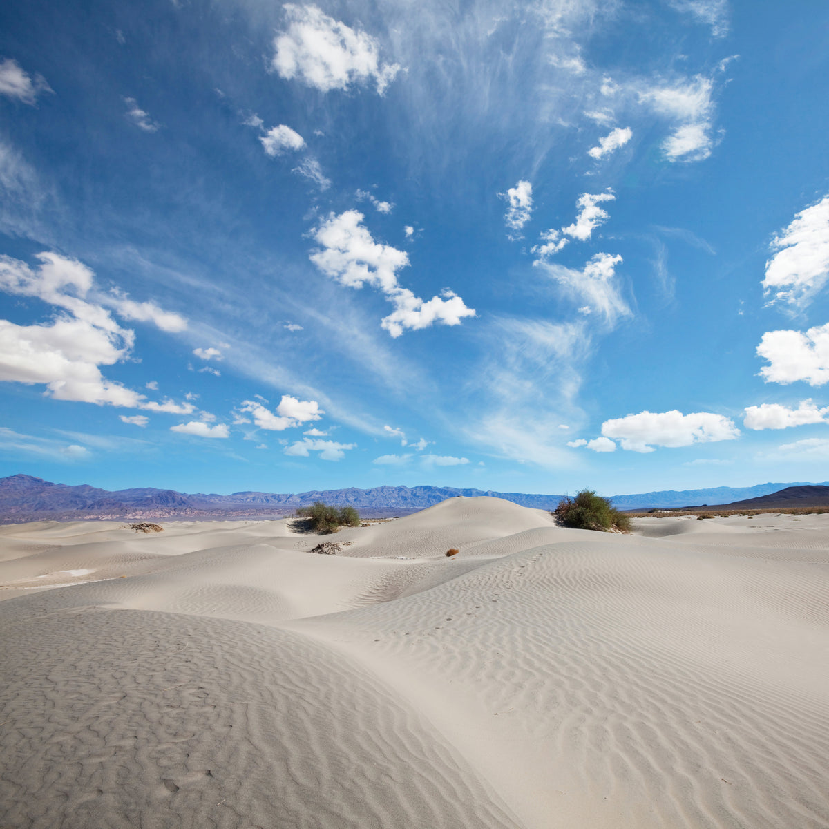 4-piece-aluminium-print-desert-landscape