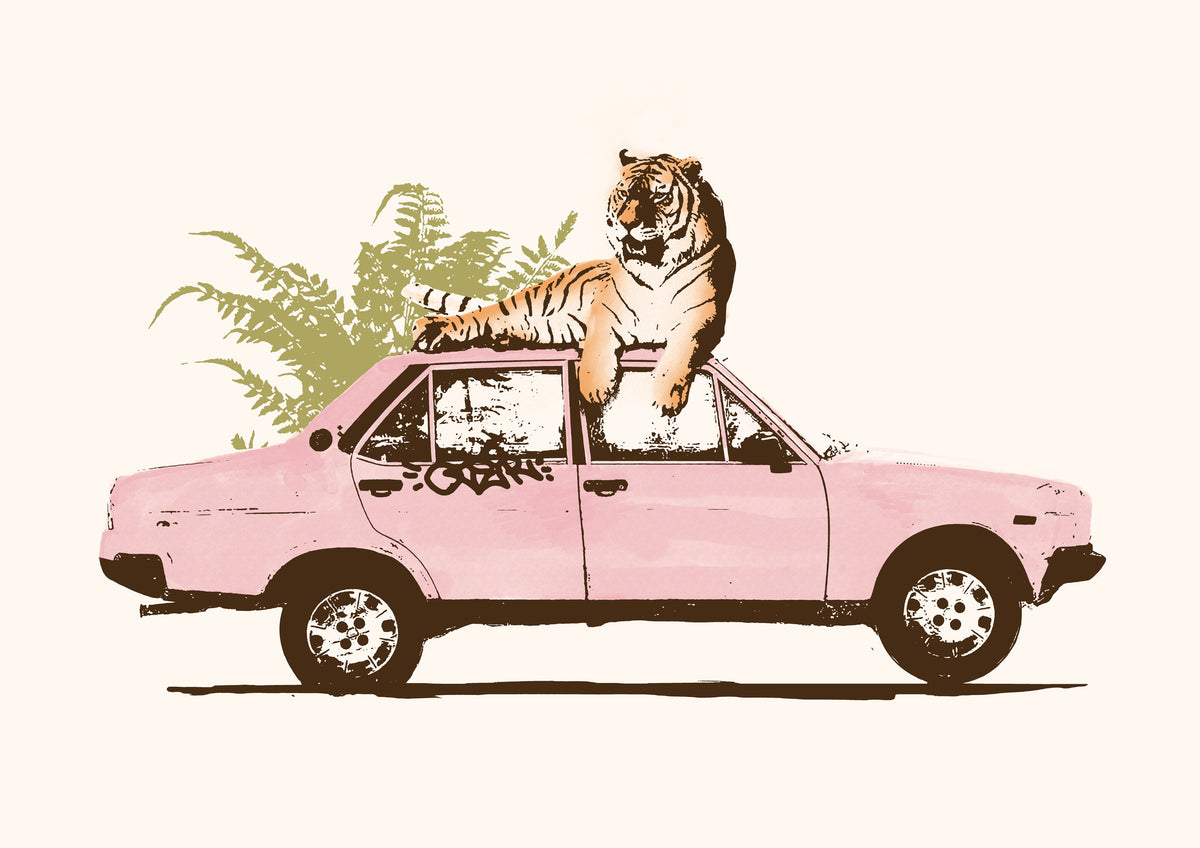framedcanvas-print-tiger-on-car
