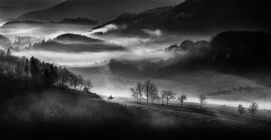 poster-print-morning-ride