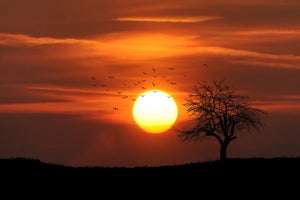 modern-3-piece-acrylic-print-the-sunset-on-the-horizon