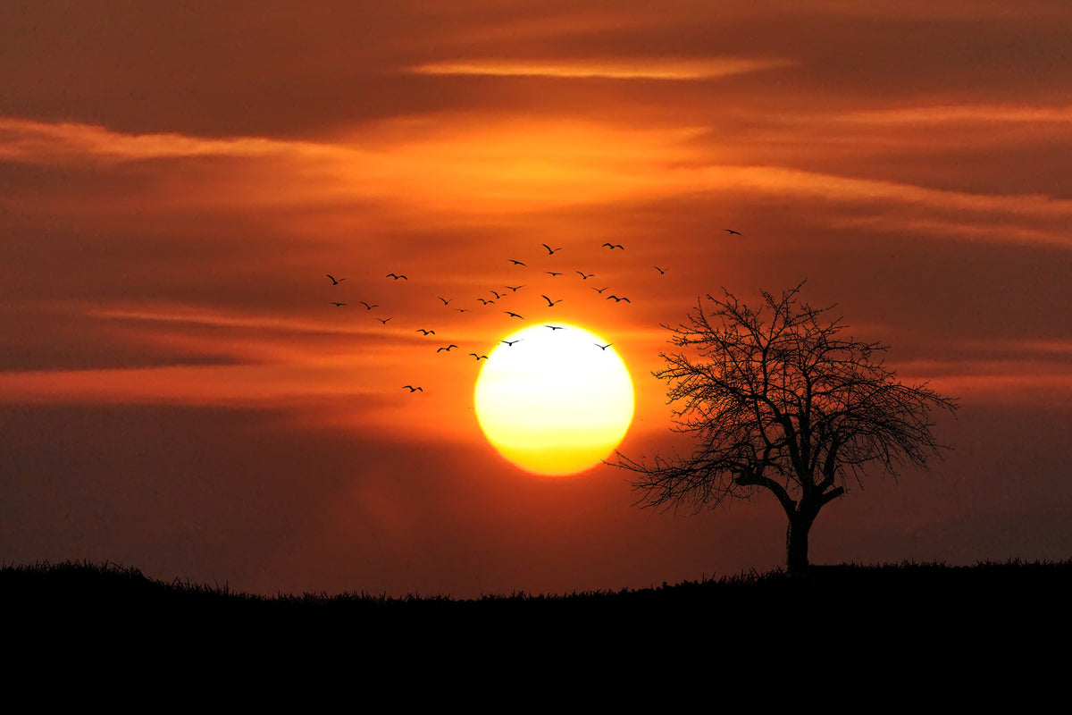 modern-3-piece-acrylic-print-the-sunset-on-the-horizon