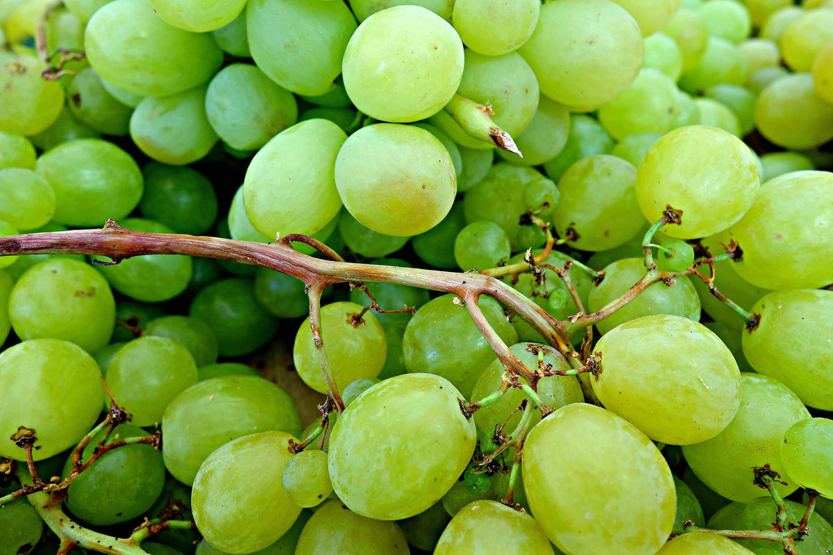 canvas-print-green-grapes