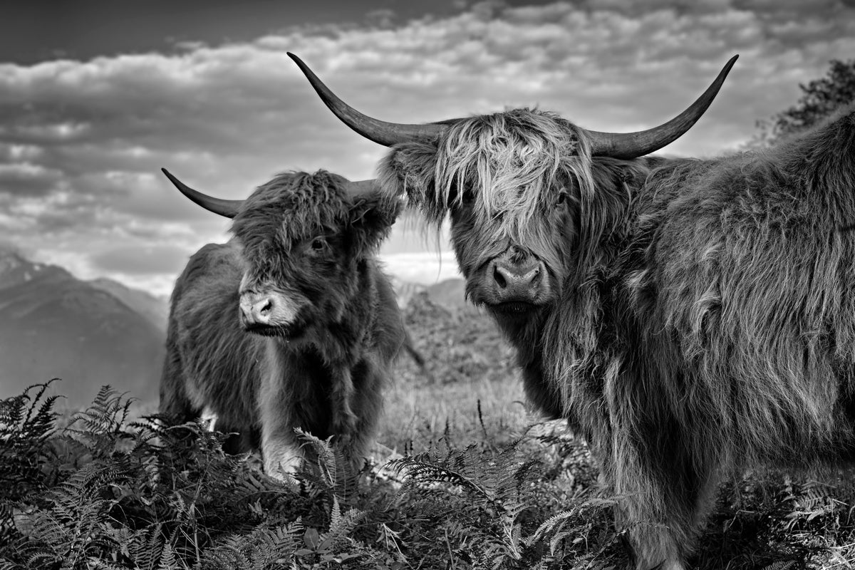aluminium-print-friends-2