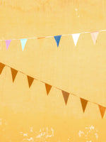 framedcanvas-print-mexican-flags