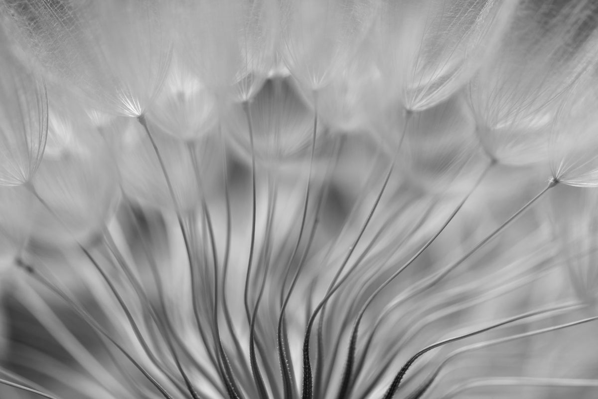 framedcanvas-print-dream-xir
