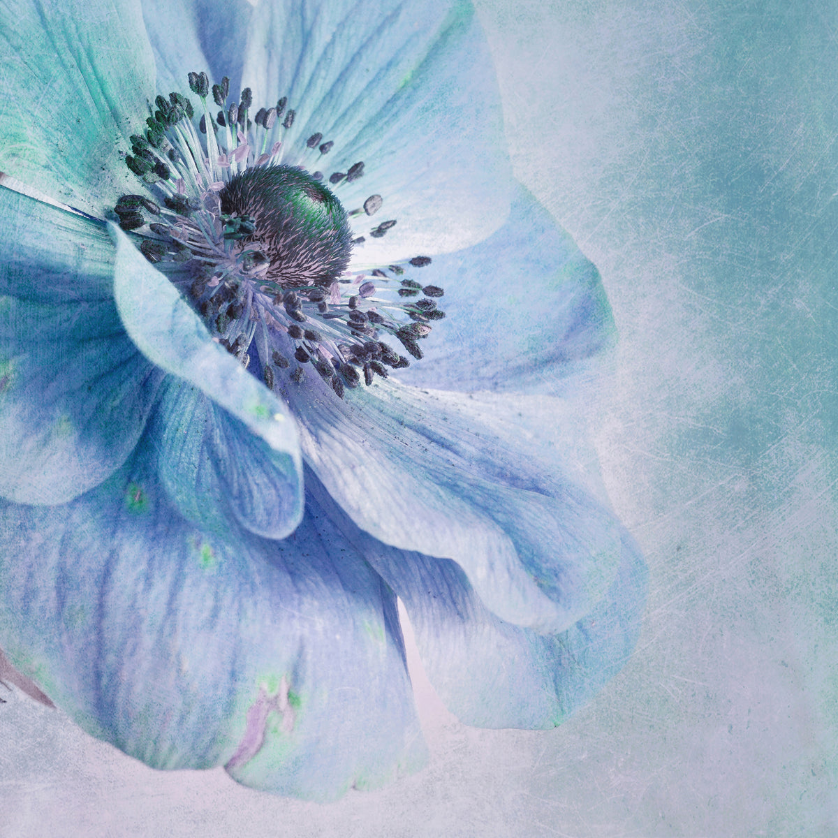 aluminium-print-shades-of-blue-x