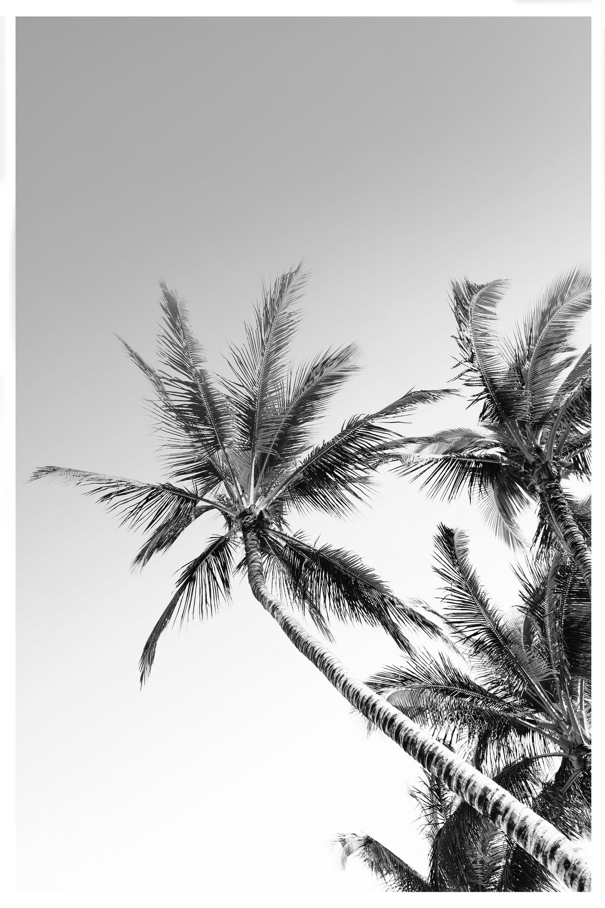 canvas-print-tropical-silhouettes