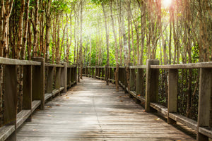 canvas-print-wooden-bridge