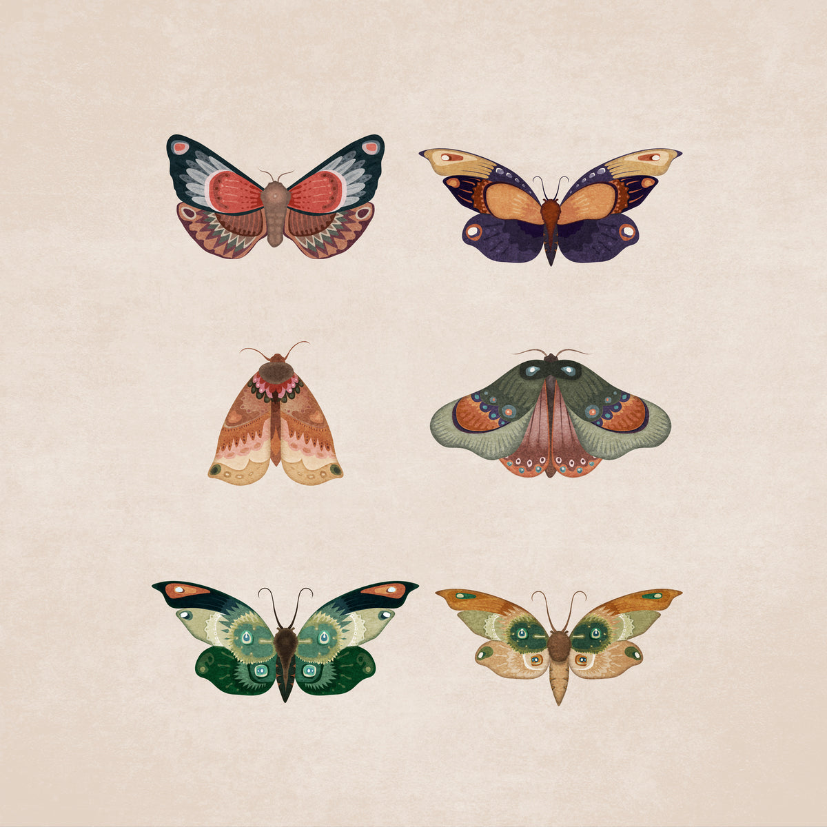 acrylic-print-winged-elegance