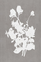 canvas-print-botanical-illustration-3