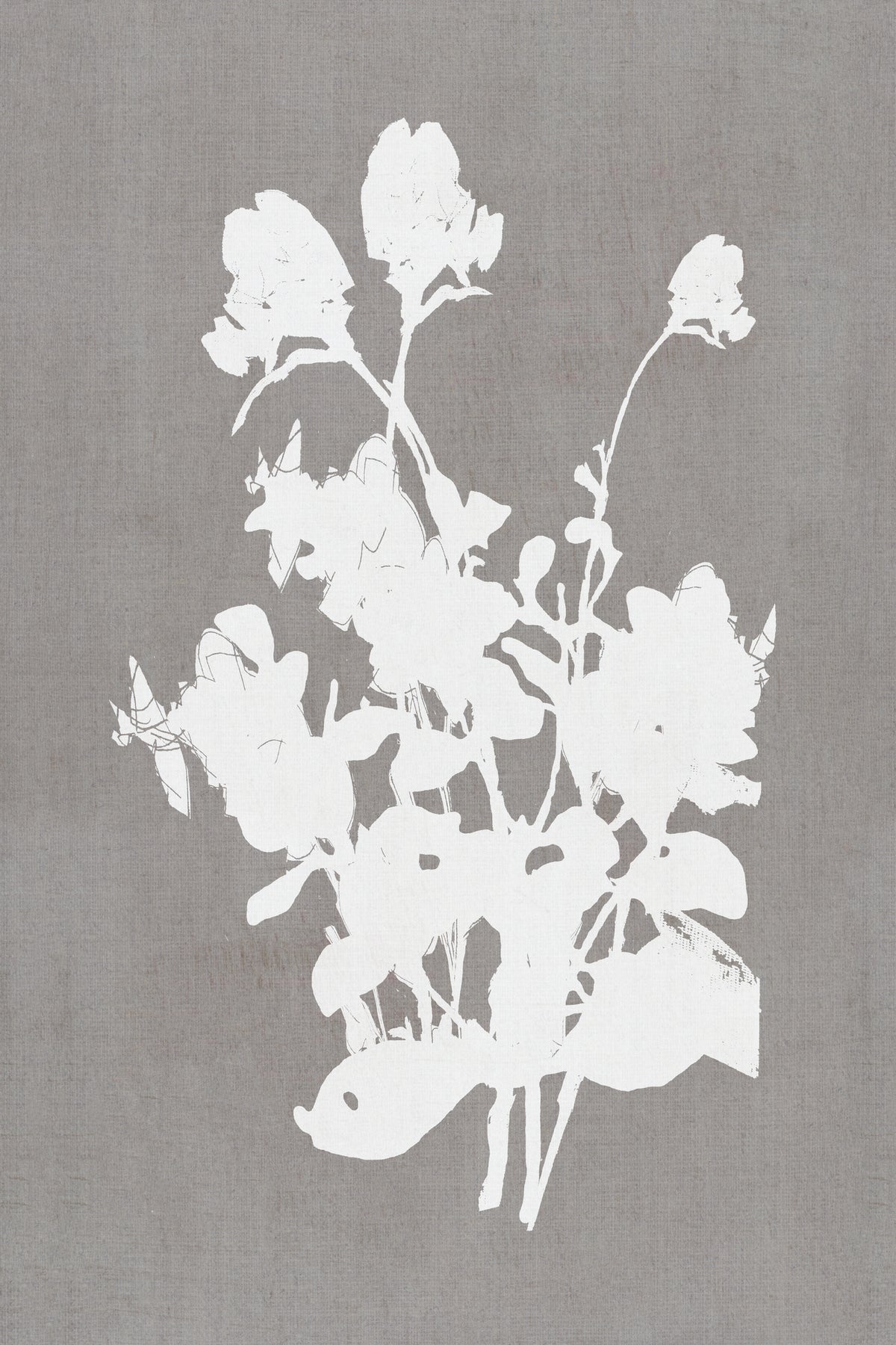 canvas-print-botanical-illustration-3