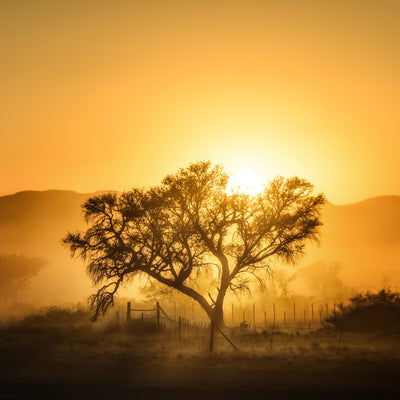 poster-print-golden-sunrise