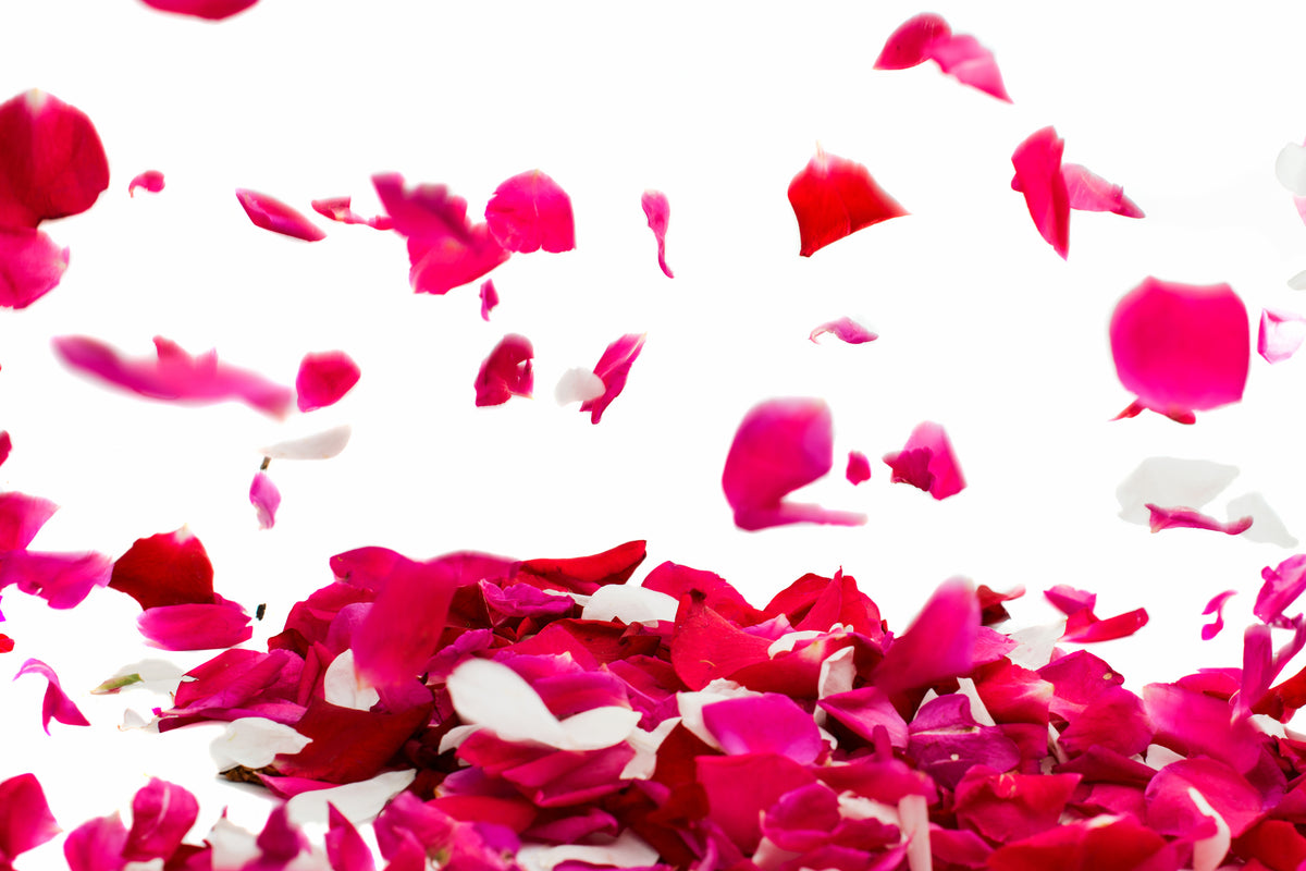canvas-print-let-it-rain-red-roses-for-me
