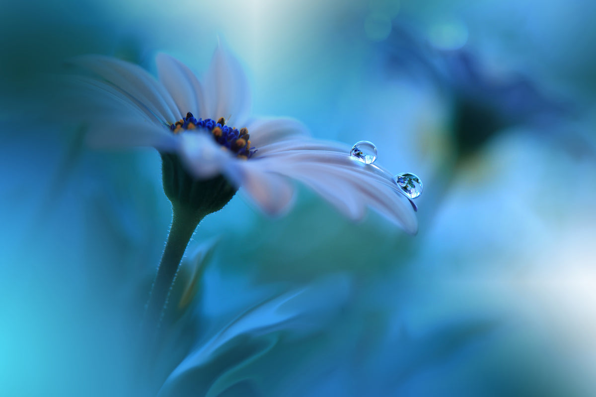 framedposter-print-beyond-the-visible