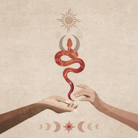 aluminium-print-serpent-harmony
