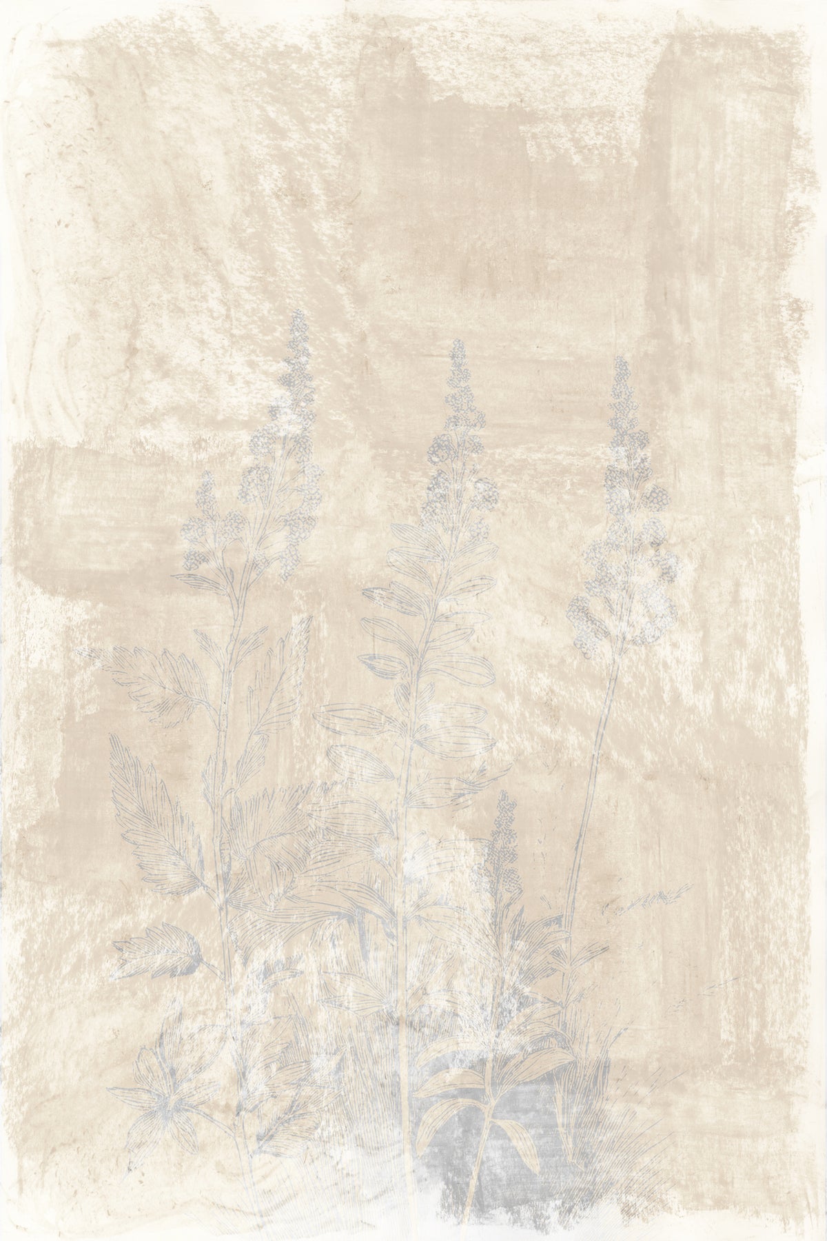 framedcanvas-print-woodsia-2
