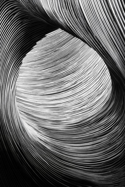 poster-print-zebra-architecture-in-motion