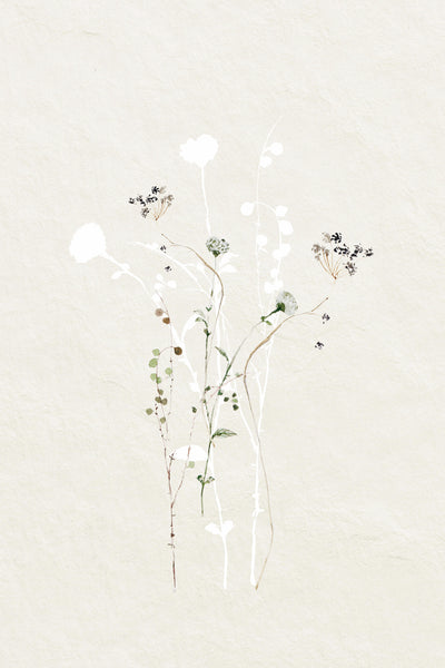 poster-print-muted-botanical-elements