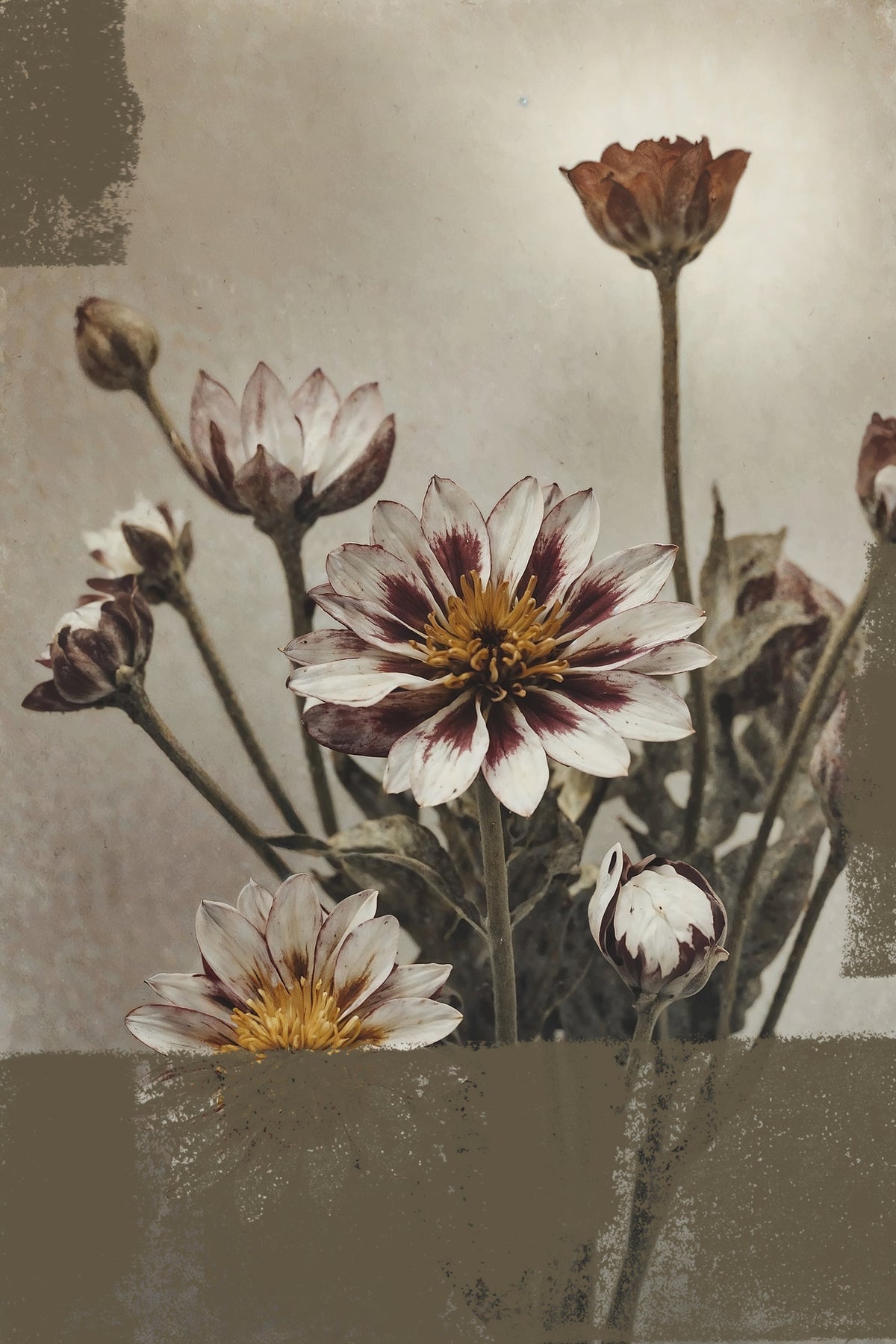 aluminium-print-5-vintage-flowers
