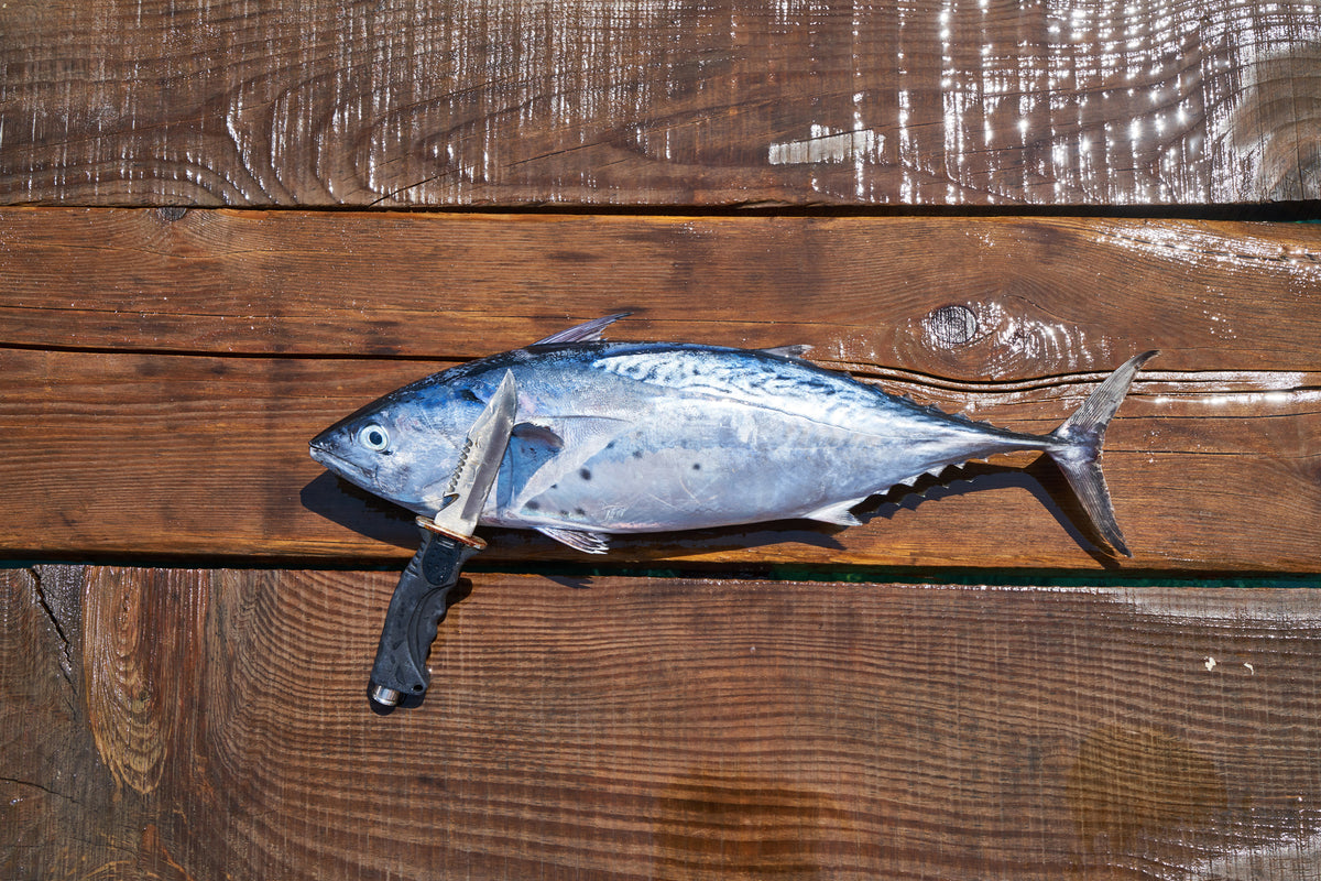 aluminium-print-the-fresh-fish