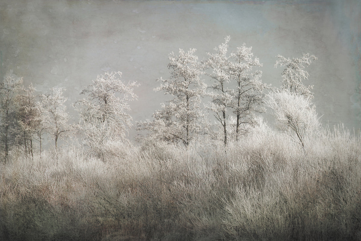 3-piece-aluminium-print-cold-morning