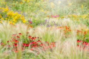 acrylic-print-summer-reverie-x