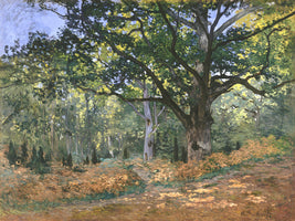 framedcanvas-print-the-bodmer-oak-fontainebleau-forest-1865-by-claude-monet