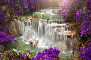 poster-print-photowallpaper-garden-eden