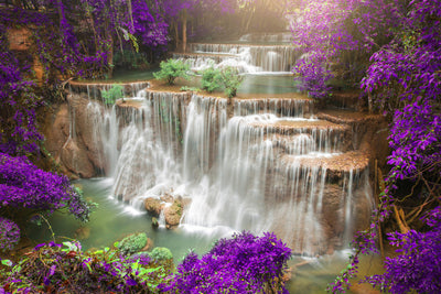 poster-print-photowallpaper-garden-eden