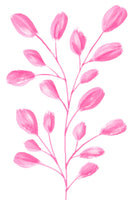 framedcanvas-print-petals-in-bloom-2