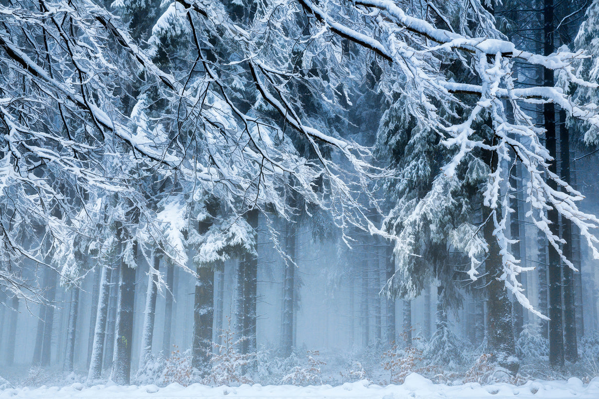 framedposter-print-snowworld-x