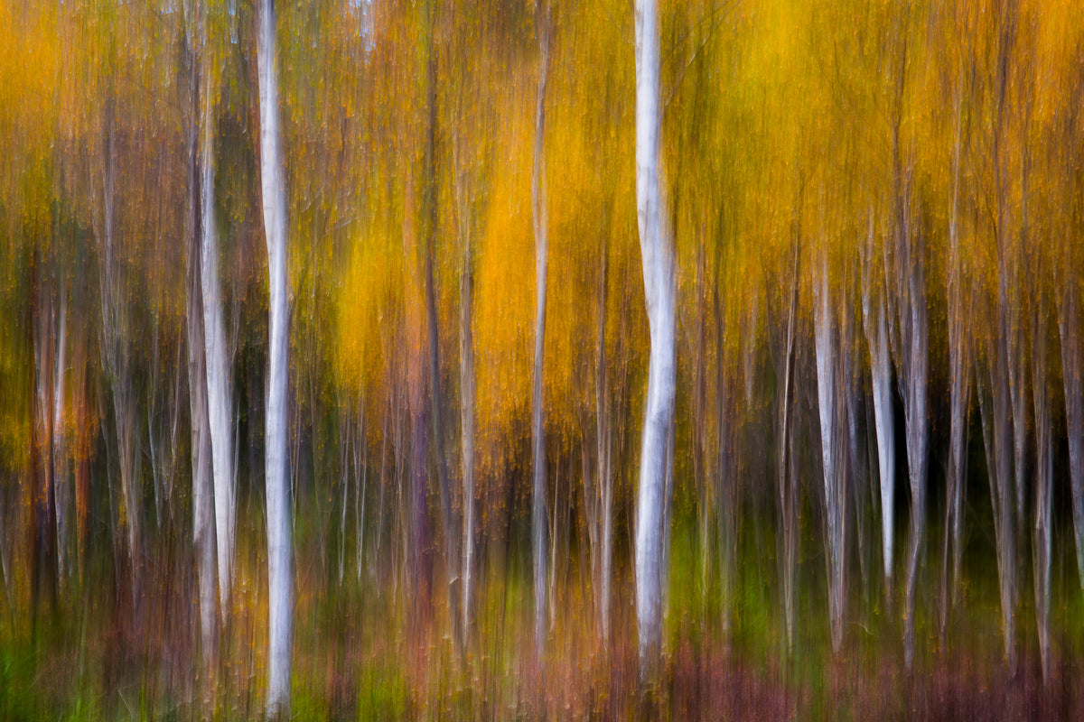 3-piece-acrylic-print-abstract-fall