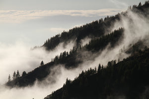 3-piece-canvas-print-fog-in-the-woods