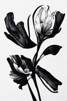 framedcanvas-print-black-flower
