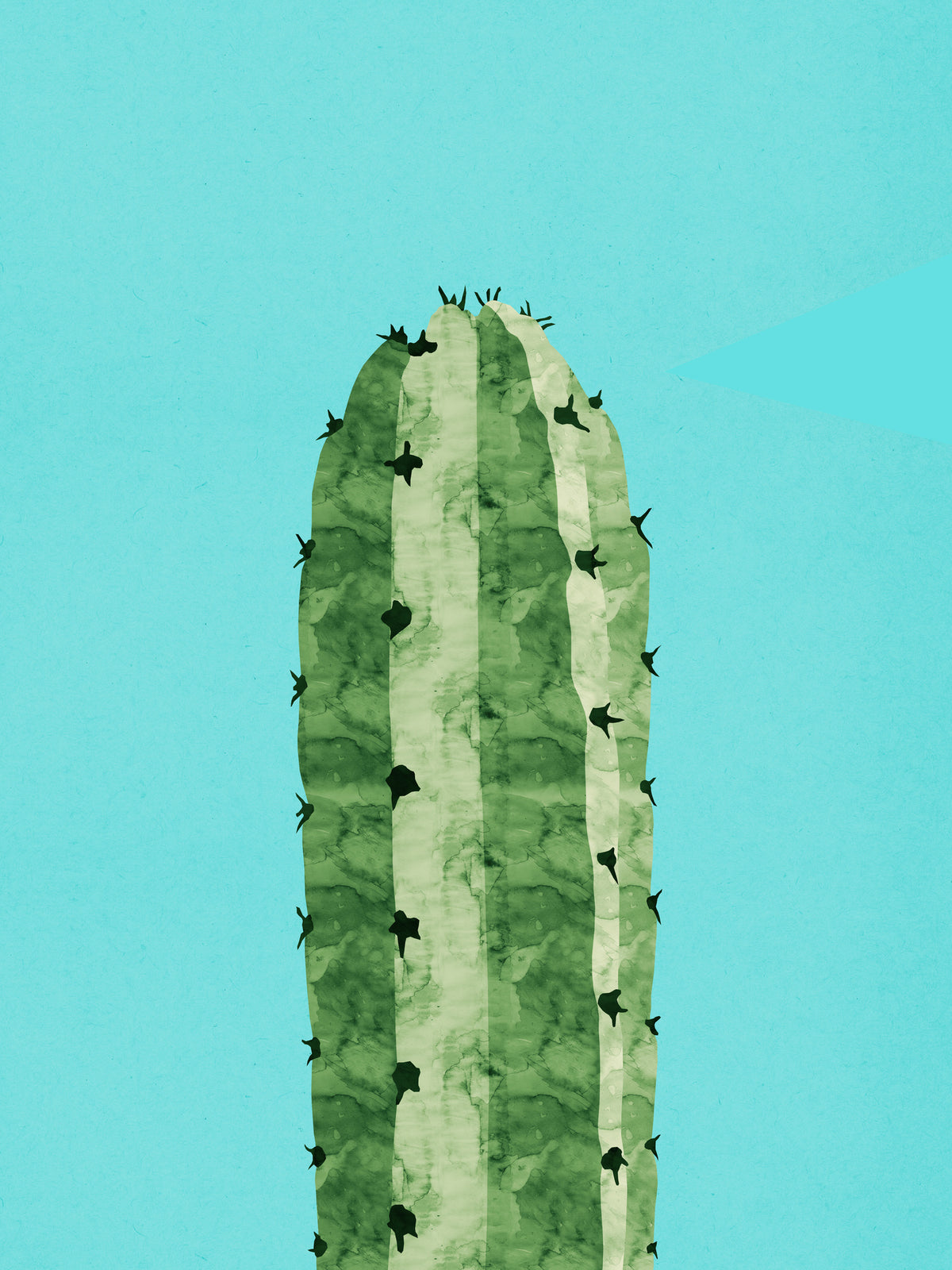 acrylic-print-stylized-cactus