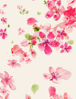 framedposter-print-petals-in-bloom