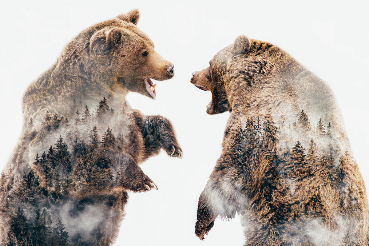 framedposter-print-wild-conflicts-x