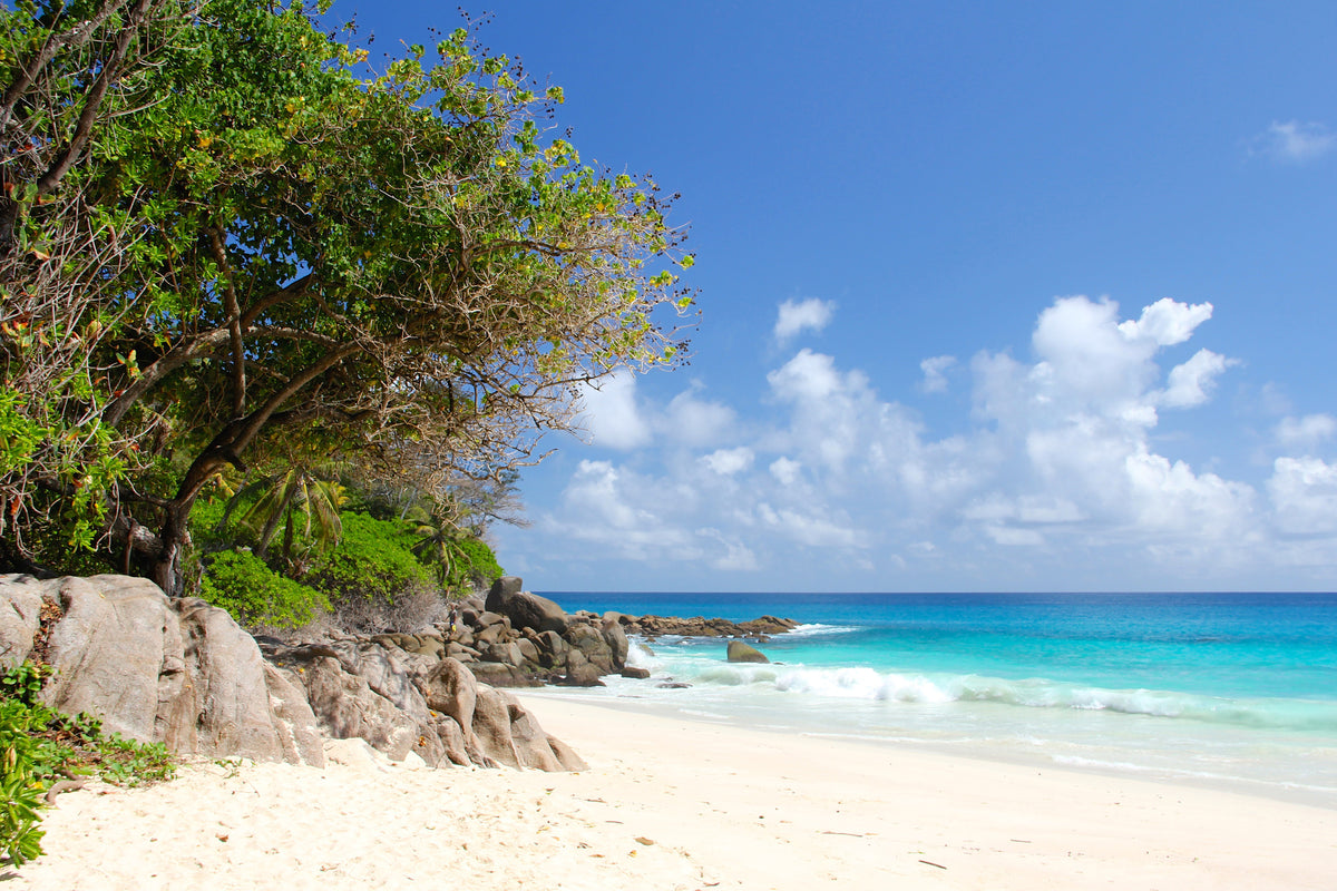 aluminium-print-dream-beach-seychelles