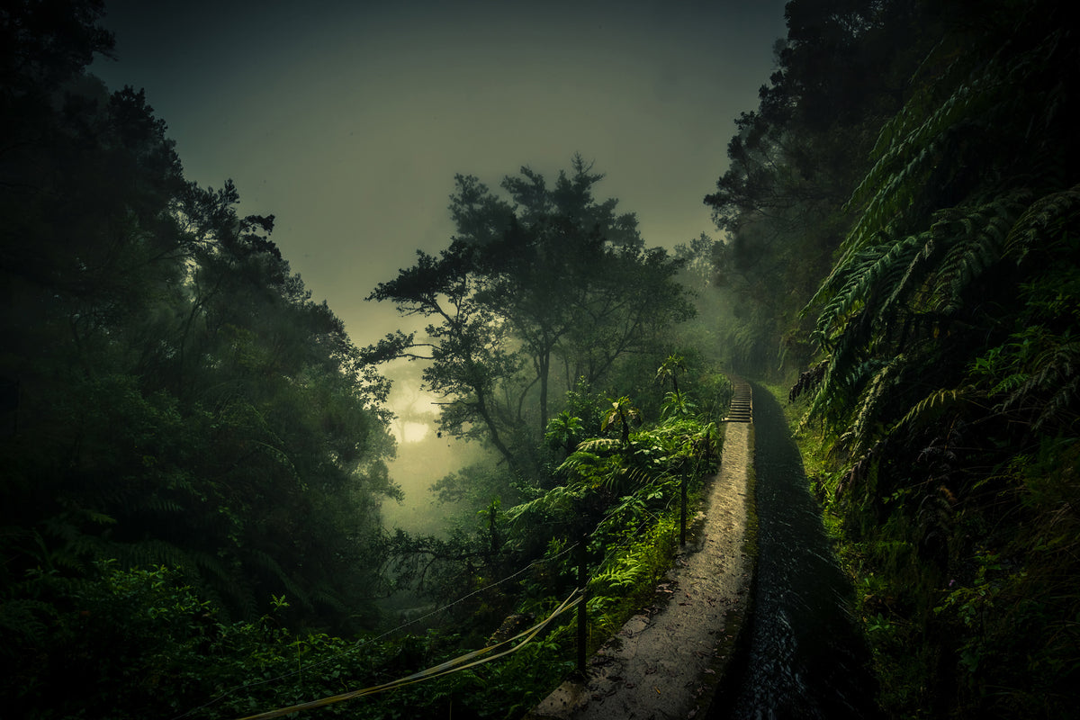 framedposter-print-levada-walk-x