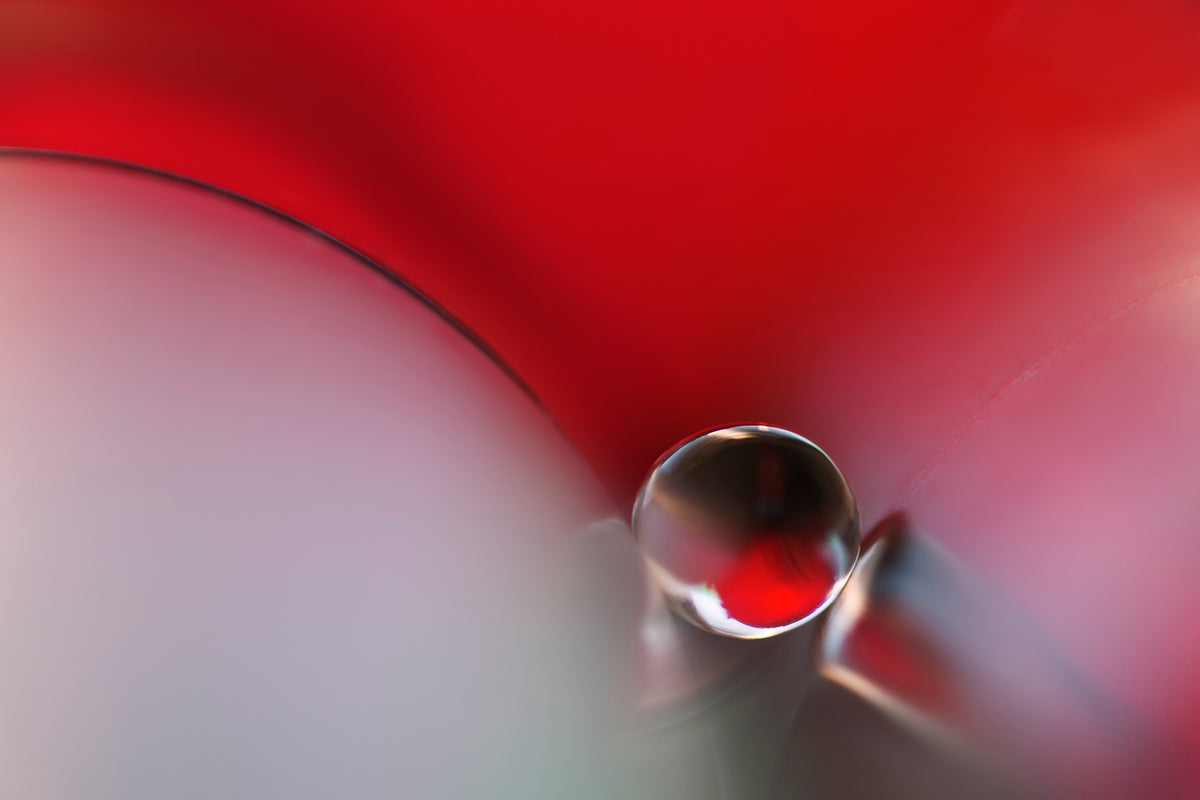 acrylic-print-between-x