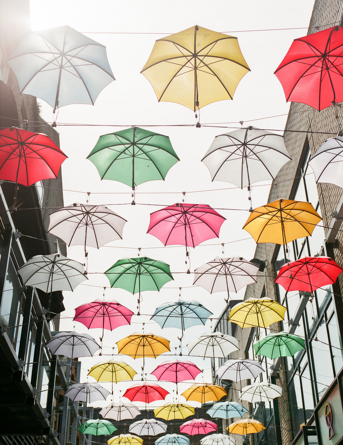 framedposter-print-umbrellas-2