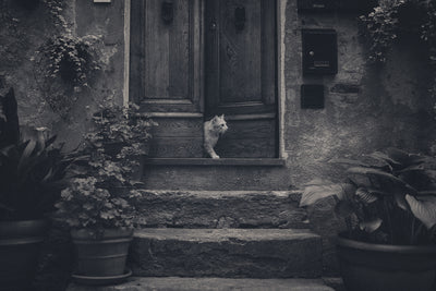 poster-print-awaiting-guests-x