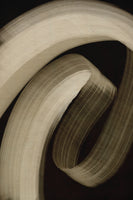 framedcanvas-print-curved-essence