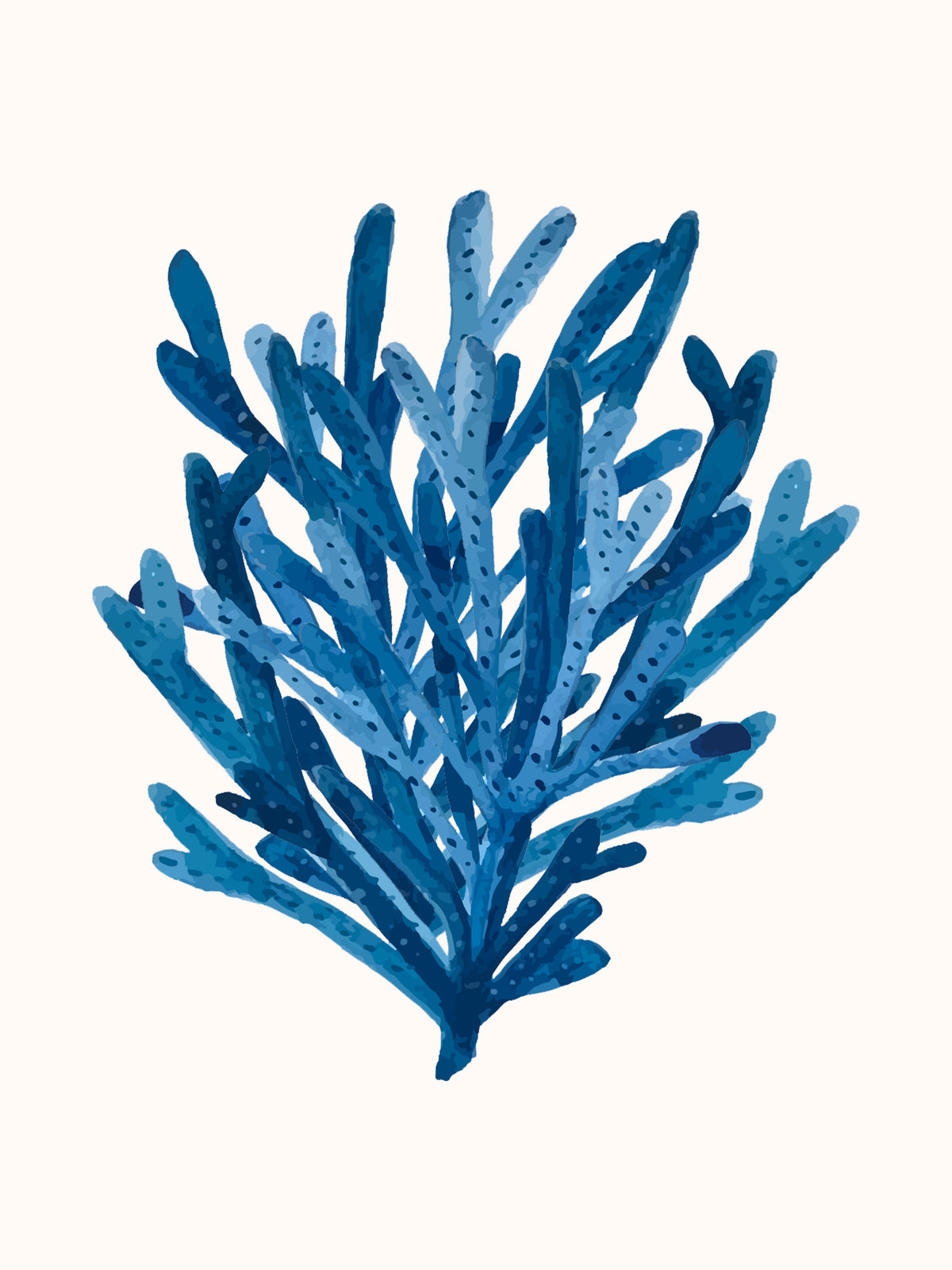 framedposter-print-coral
