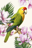 poster-print-parrots-paradise